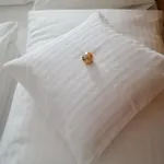 公寓 Bruckberg Nahe Areitxpress 滨湖采尔